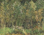 Vincent Van Gogh The Grove (nn04) painting